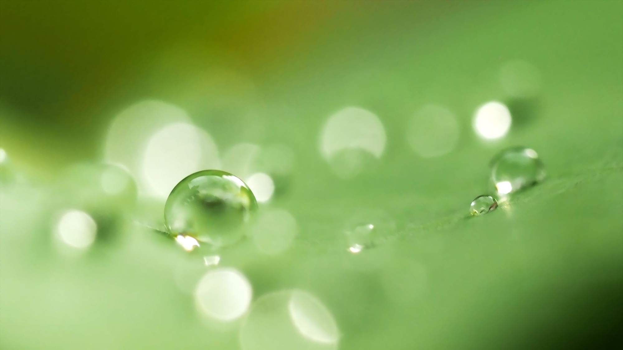 秋雨の影にうける感銘
